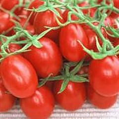 Grapette tomato seeds for sale  Delivered anywhere in USA 