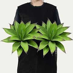 Ttranewsoo fake plants for sale  Delivered anywhere in USA 
