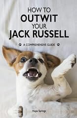 Outwit jack russell for sale  Delivered anywhere in Ireland