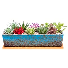 Artketty succulent pots for sale  Delivered anywhere in USA 