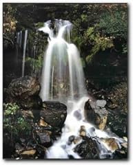 Waterfall stream tropical for sale  Delivered anywhere in USA 