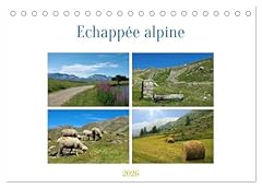 Echappée alpine d'occasion  Livré partout en France