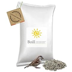 Boill semi girasole usato  Spedito ovunque in Italia 