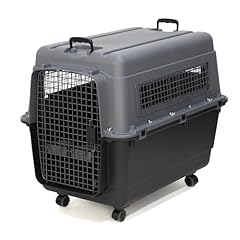 Sportpet designs plastic for sale  Delivered anywhere in USA 