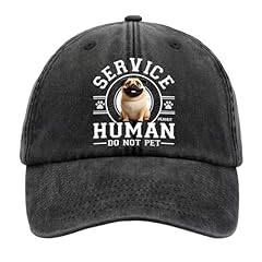 Pawfect house service for sale  Delivered anywhere in USA 