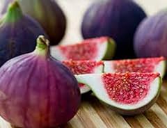 Fig trees violette for sale  Delivered anywhere in USA 