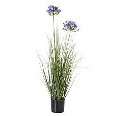 Hill interiors agapanthus for sale  Delivered anywhere in UK