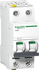 Schneider electric a9f03216 usato  Spedito ovunque in Italia 