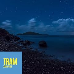 Tram for sale  Delivered anywhere in USA 