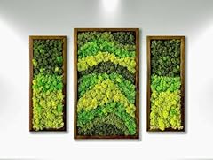 Lagom green wall for sale  Delivered anywhere in USA 
