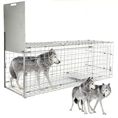 Collapsible large live for sale  Delivered anywhere in USA 