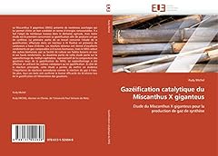 Gazéification catalytique mis d'occasion  Livré partout en France