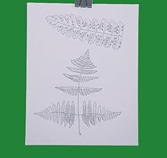 Oak fern botanical for sale  Delivered anywhere in USA 