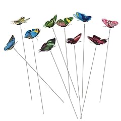 Datingday pack colourful for sale  Delivered anywhere in USA 