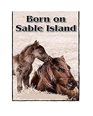 Born sable island gebraucht kaufen  Wird an jeden Ort in Deutschland