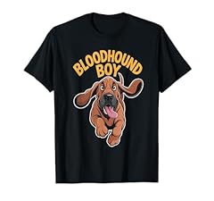 Bloodhound boy cute for sale  Delivered anywhere in USA 