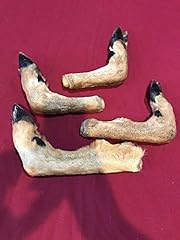 Deer feet cured for sale  Delivered anywhere in USA 
