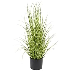 Boston international decorativ for sale  Delivered anywhere in USA 