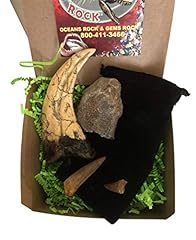Dinosaurs rock dinosaur for sale  Delivered anywhere in USA 