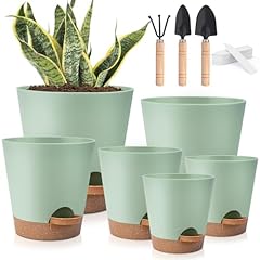 Pack self watering for sale  Delivered anywhere in UK