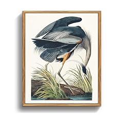 Crmotu bird framed for sale  Delivered anywhere in USA 