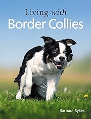 Living border collies for sale  Delivered anywhere in USA 