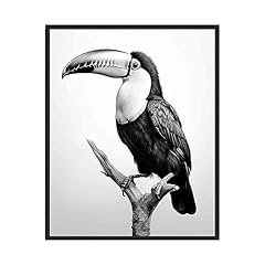 Toucan art prints for sale  Delivered anywhere in USA 