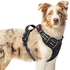 Rabbitgoo dog harness for sale  Delivered anywhere in UK
