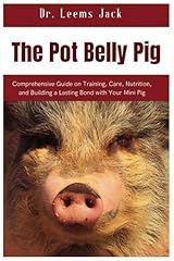 Pot belly pig for sale  Delivered anywhere in UK