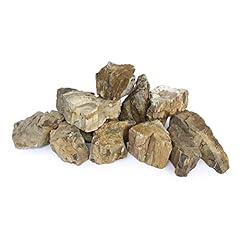 H2pro petrified wood for sale  Delivered anywhere in USA 