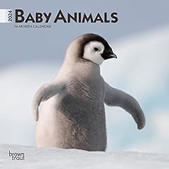 Baby animals 2024 for sale  Delivered anywhere in USA 