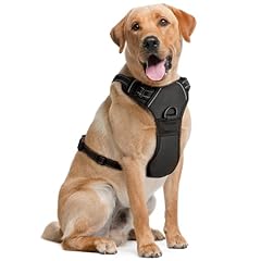Pettorina per cani usato  Spedito ovunque in Italia 