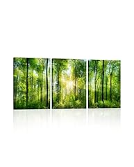 Green forest canvas for sale  Delivered anywhere in USA 