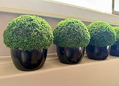 Art moss porcelain for sale  Delivered anywhere in USA 