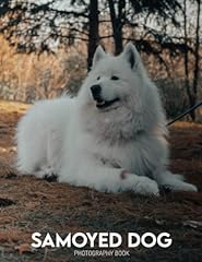 Samoyed dog photography for sale  Delivered anywhere in USA 