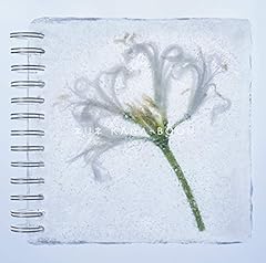 Nerine for sale  Delivered anywhere in UK