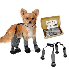 Becrowm waterproof dog for sale  Delivered anywhere in USA 