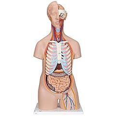 Scientific b11 torse d'occasion  Livré partout en France