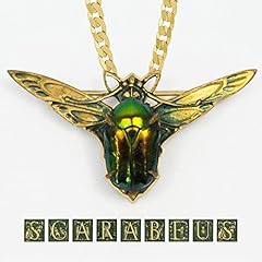 Scarabeus explicit gebraucht kaufen  Wird an jeden Ort in Deutschland