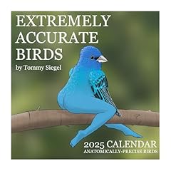 2025 calendar extremely for sale  Delivered anywhere in UK