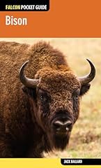 Bison for sale  Delivered anywhere in USA 