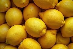 Fresh mayer lemons for sale  Delivered anywhere in USA 