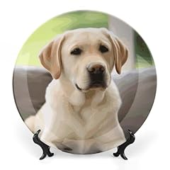 Fzmvsqh cute labrador for sale  Delivered anywhere in UK