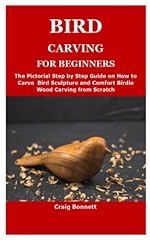 Bird carving beginners for sale  Delivered anywhere in UK