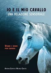 Mio cavallo una usato  Spedito ovunque in Italia 