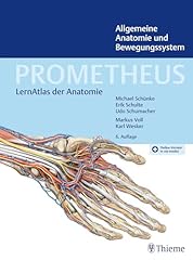 Prometheus allgemeine anatomie gebraucht kaufen  Wird an jeden Ort in Deutschland