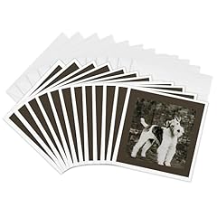3drose greeting cards for sale  Delivered anywhere in USA 