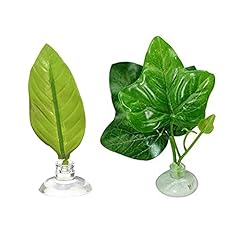 Yyaogagng pcs betta for sale  Delivered anywhere in UK