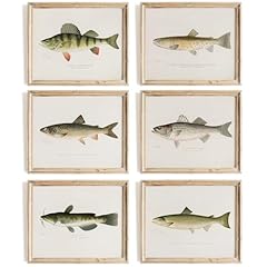 Zaiphany vintage fish for sale  Delivered anywhere in USA 