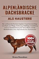 Alpenländische dachsbracke al usato  Spedito ovunque in Italia 